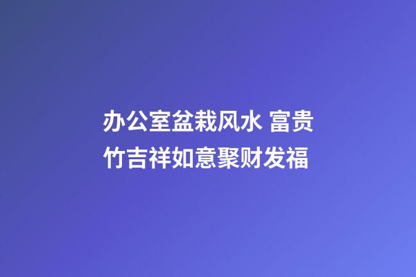 办公室盆栽风水 富贵竹吉祥如意聚财发福